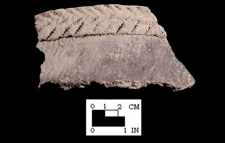 Shepard cord-wrapped dowel impressed rim sherd from the Winslow site 18MO9-SI Cat. #449644 - Courtesy of the Smithsonian Institution, Museum of Natural History, Department of Anthropology.